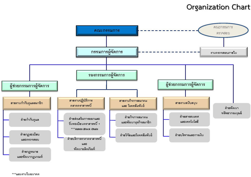 ThaiBMA Organization chart